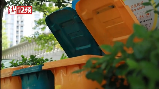 freestyle的垃圾桶，引发多家媒体竞相报道