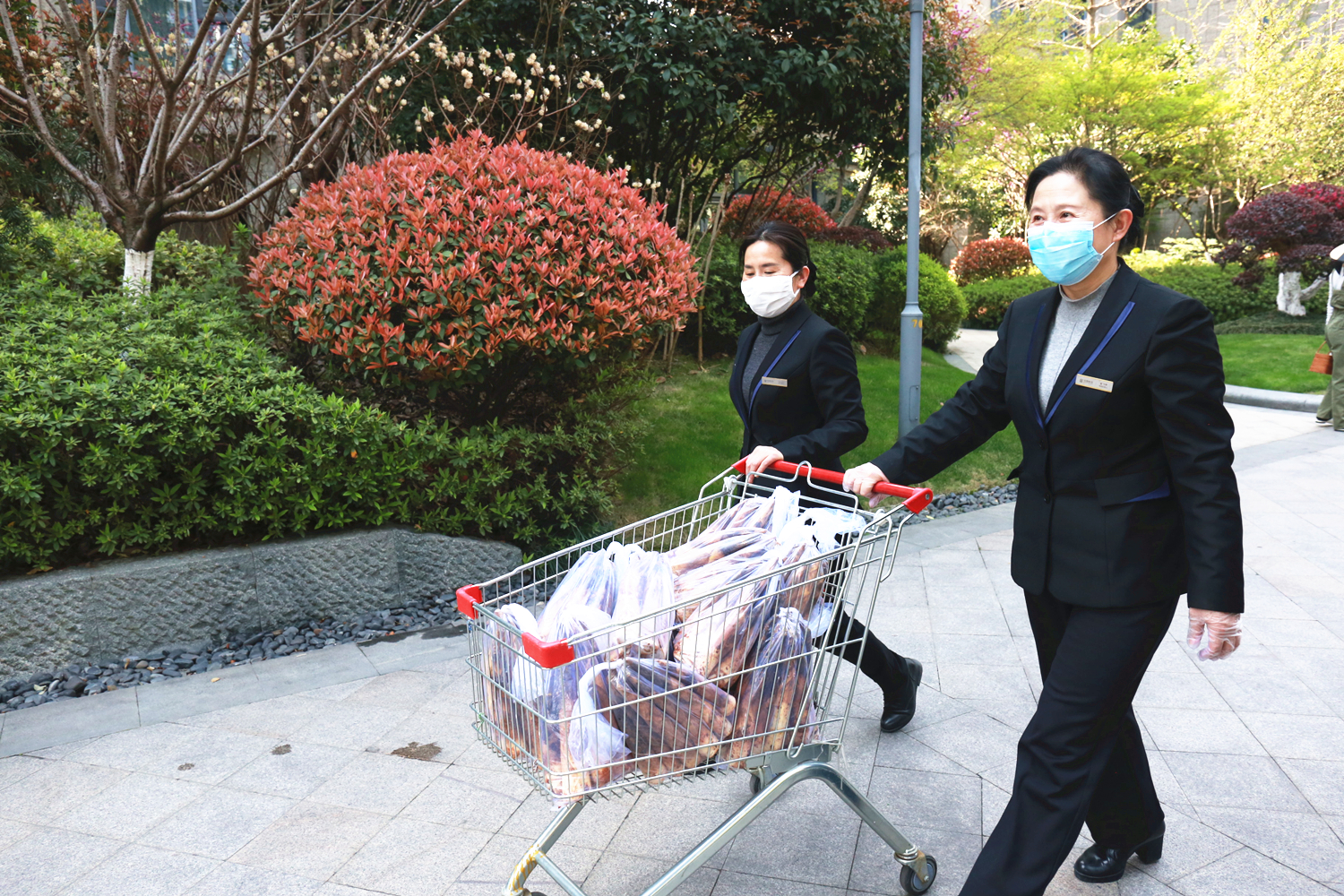 同心筑梦 守望美好|宝运莱物业服务集团荣获“抗疫突出贡献单位”、“2019-2020届西湖区文明单位”等多个奖项